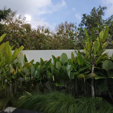 The Seaglass Villas Bingin Uluwatu (Bali) Exterior photo